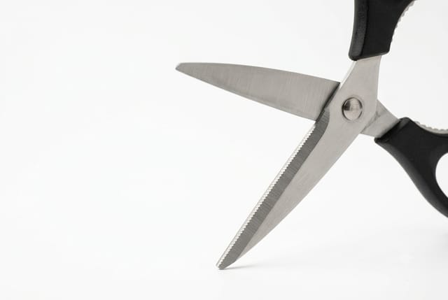 Kitchen Shears — detail