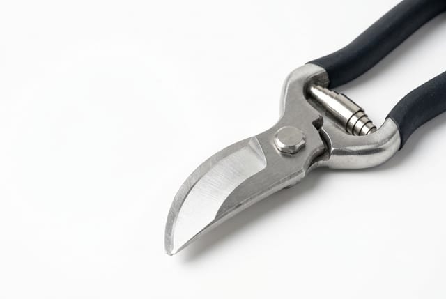 Garden Shears — detail