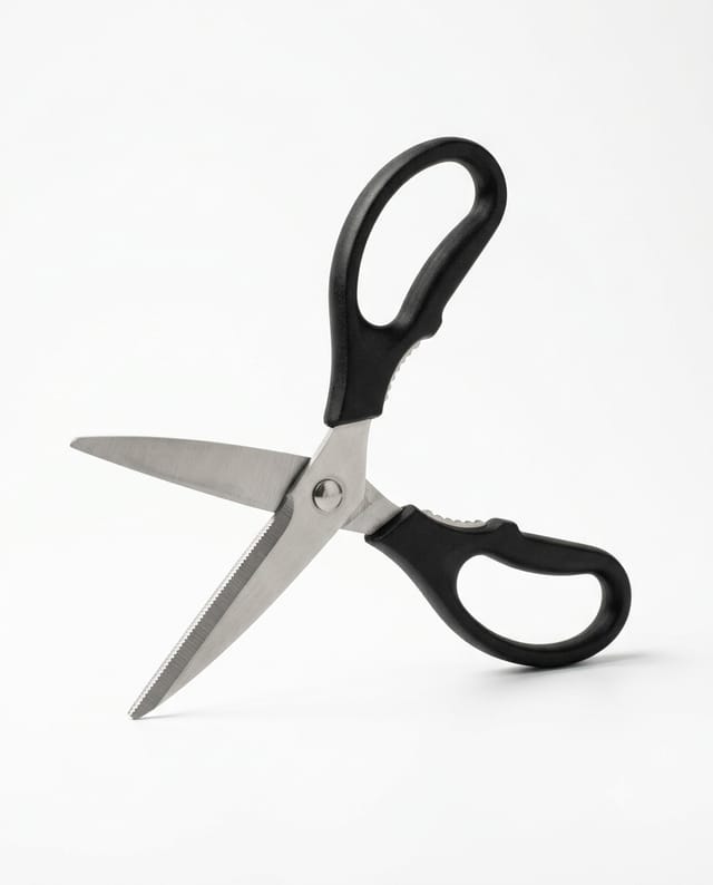 Kitchen Shears — studio view